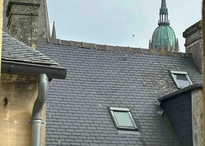 Le Nid De La Cathedrale
